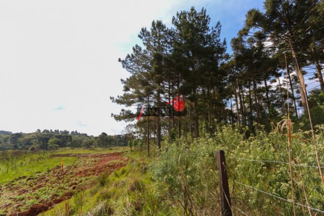 8287 | chácara à venda em guarapuava - Foto 4