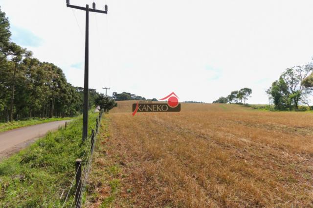 8287 | chácara à venda em guarapuava - Foto 2