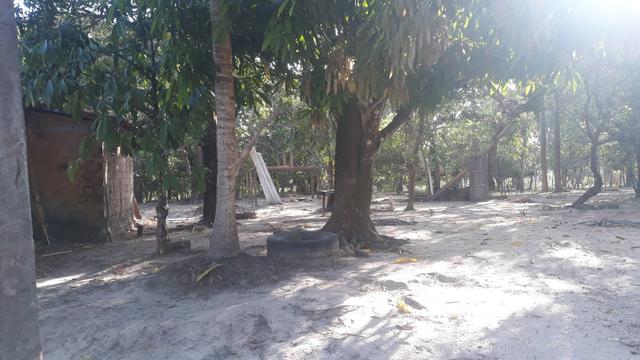 Vendo excelente chácara as margens da ma 216** 30 hectares em Penalva ma - Foto 9