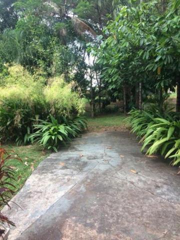 Chácara para alugar em Estancia jockei club, Sao jose do rio preto cod:L93 - Foto 3
