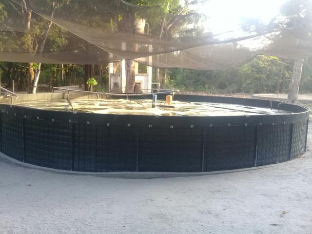 Tanque de peixes ou camarão - Foto 3