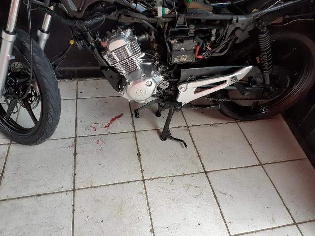 Uma fecto 2011
