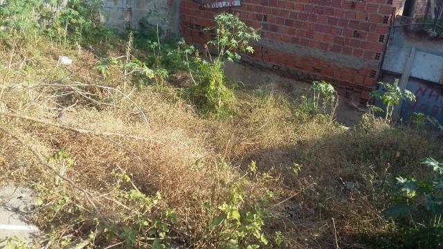 Terreno no Nova Caruaru - Foto 8