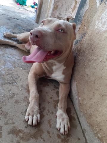 Cruza - Foto 4
