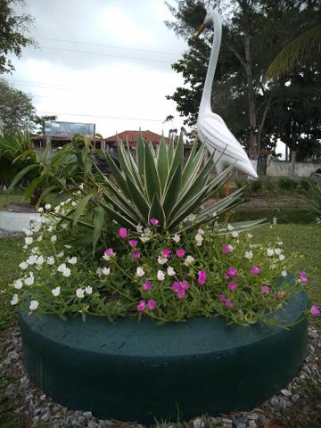 Sítio em São Pedro da aldeia - Foto 16