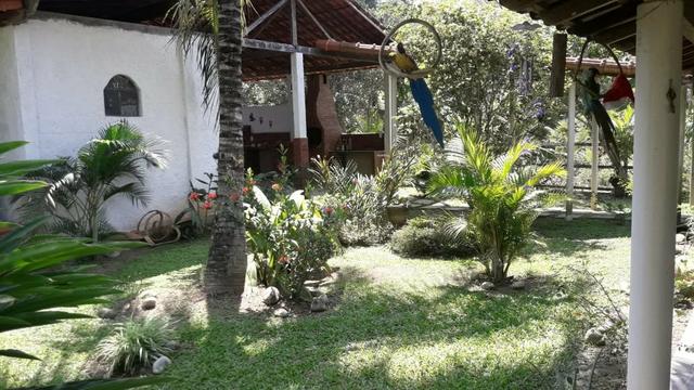 Pequena propriedade rural - Foto 4