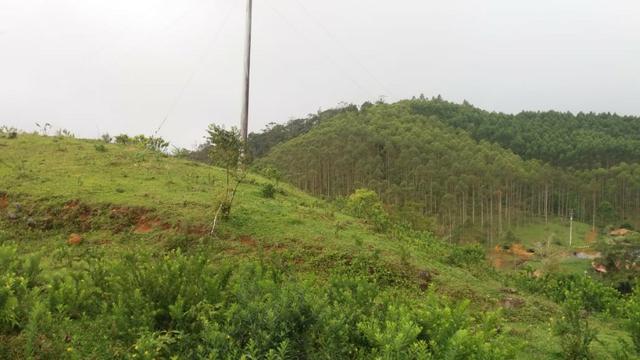 Fazenda Rio Pequeno, Campina Grande do Sul/PR - Foto 18