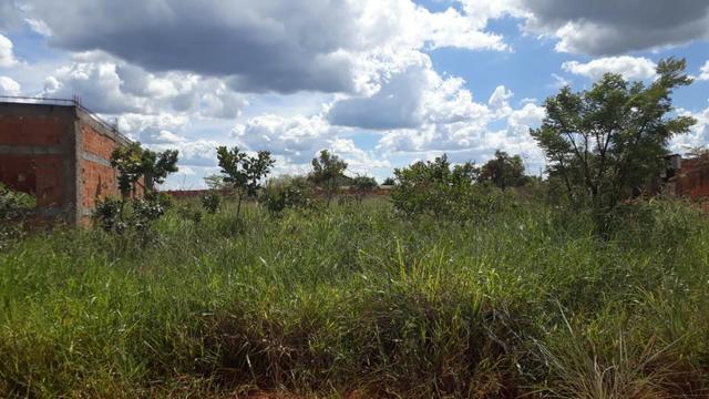 Lote no parque São Francisco