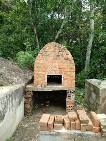 Sitio no Moura - Foto 6