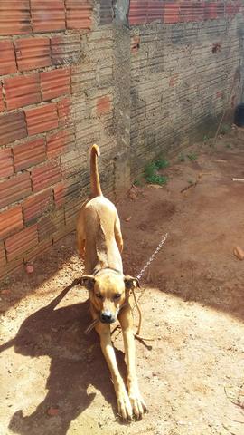 Doação - Foto 3