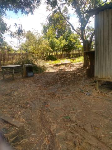 Vendo chácara por 50 mil ou troco por casa - Foto 4