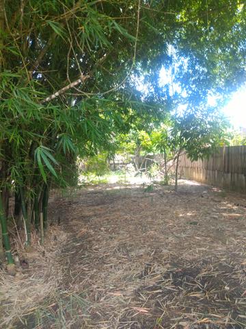 Vendo chácara por 50 mil ou troco por casa - Foto 6