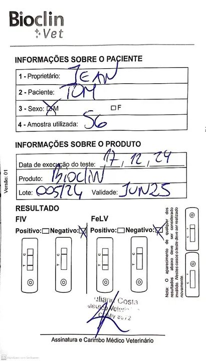 Tom - Gato castrado e saudável pronto para receber um lar ? - Foto 5