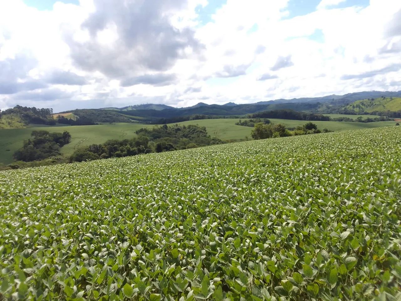 Fazenda Ortigueira  - Foto 3