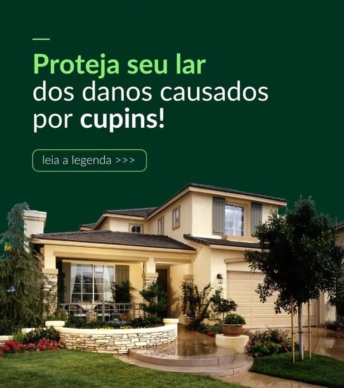 Dedertizacao geral - Foto 3