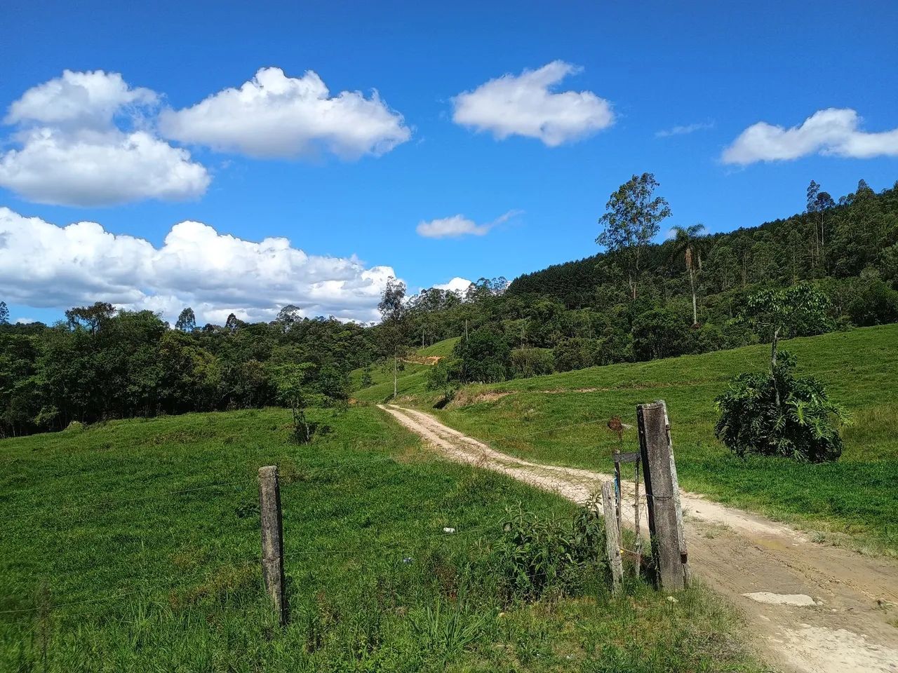 ANITÁPOLIS/SC - Oportunidade de investimento próximo a Serra geral - Foto 2