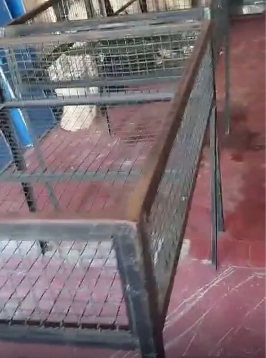 Expositores de ferro ( cesto) - Foto 4