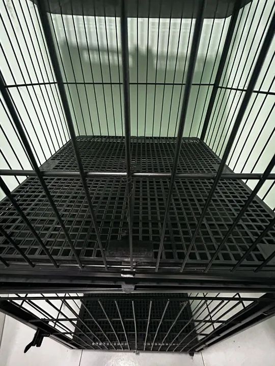 Gaiola para animais Banho e tosa. - Foto 4