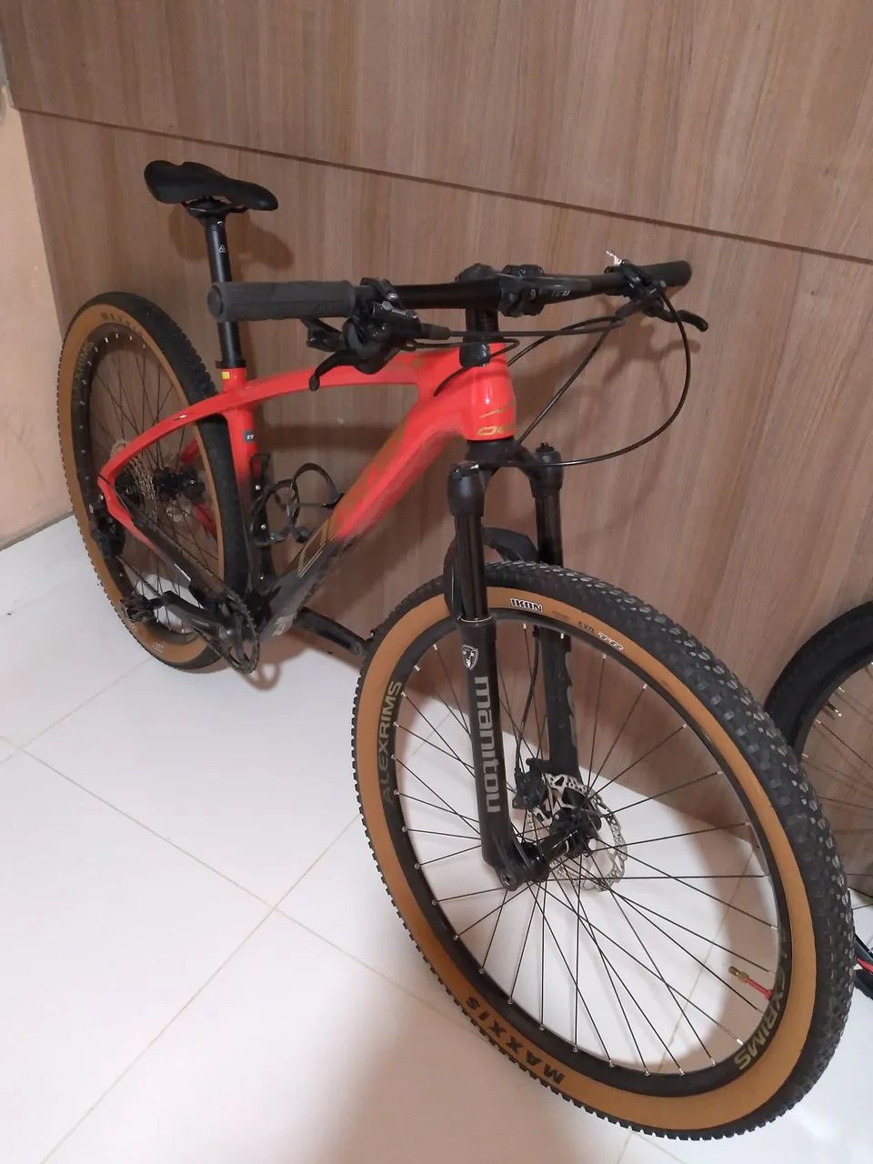 MOUNTAIN BIKE  AGILE SPORT CARBON