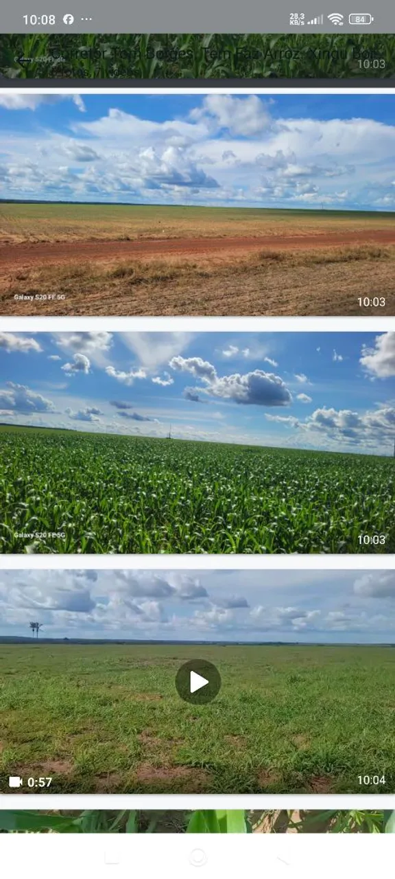 Fazenda de arrendamento 2.800hec e plantando 1.768, e 1.035hec a abrir em santa cruz xingú