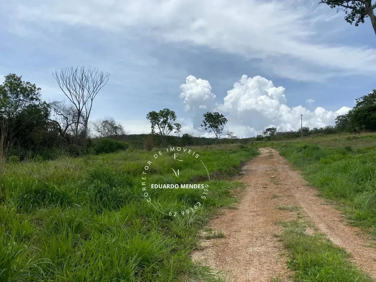 Linda chácara com 17.74 hectares, rica em água, 500 metros da GO 474 Abadiânia - Foto 6