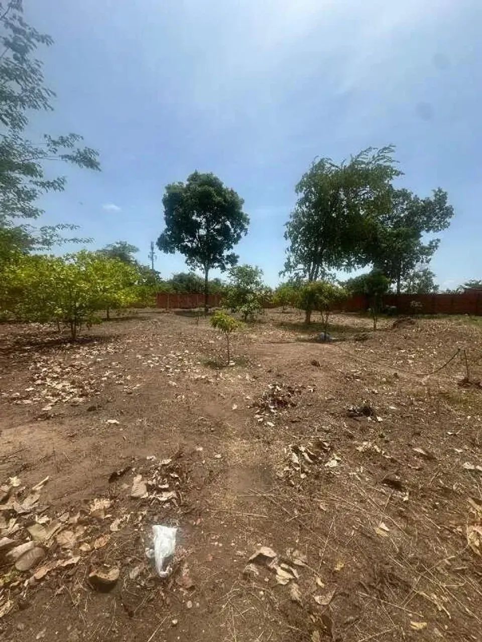 Dois lotes de terrenos de nrs. 06 e 07 - Foto 5