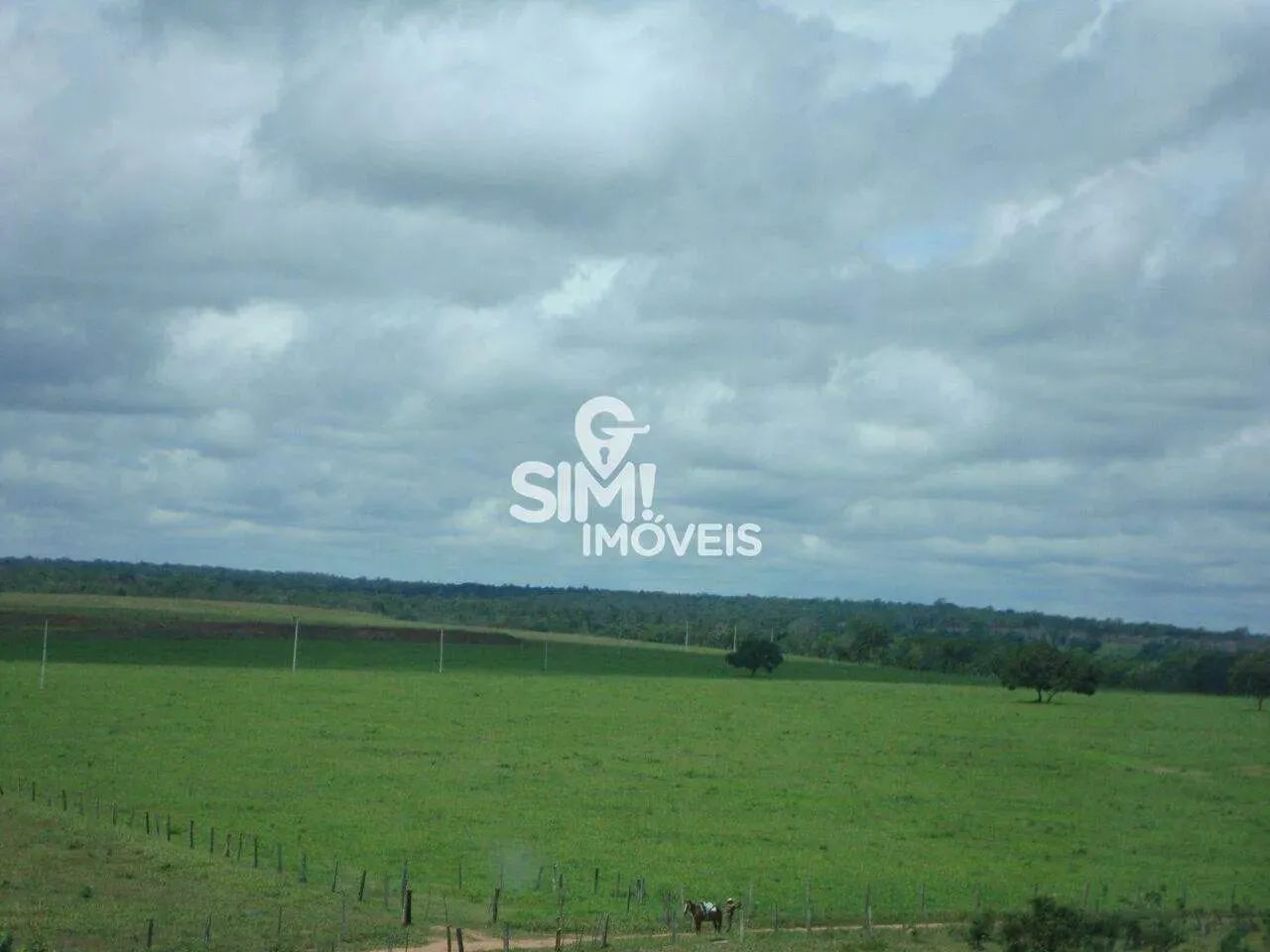 OPORTUNIDADE ÚNICA, FAZENDA TODA FORMADA EM PEDRO AFONSO!