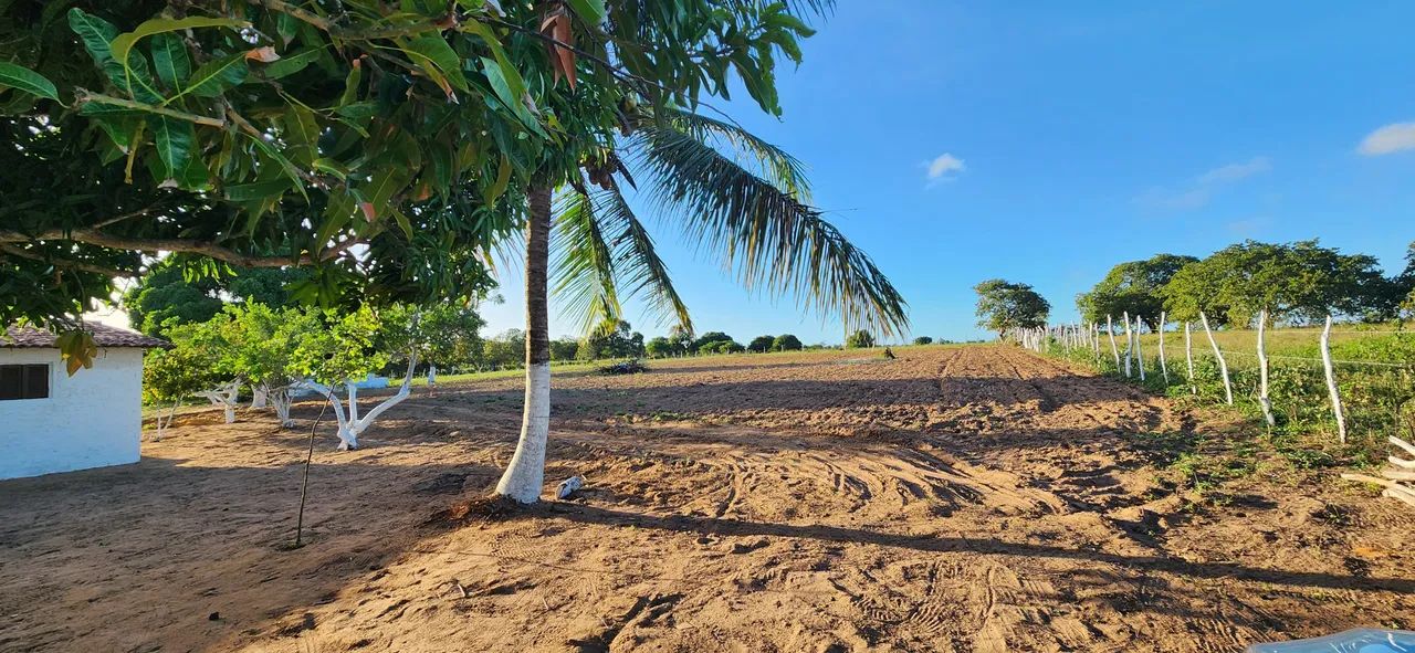 chácara com 5.200 metros quadrados em boa saúde  Barata uma oportunidade unica - Foto 5