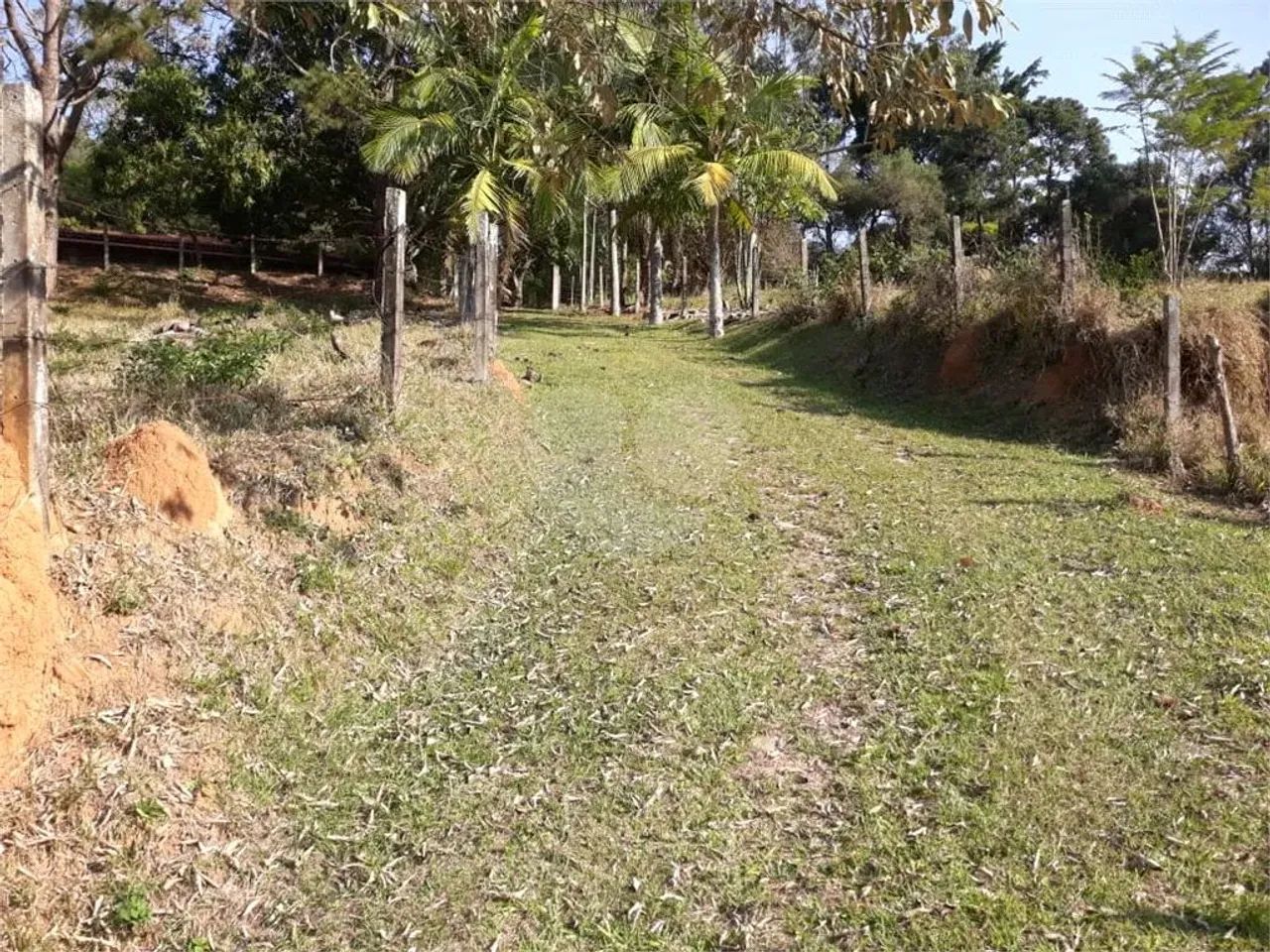Sítio de 114.950 m2 a venda - Foto 4