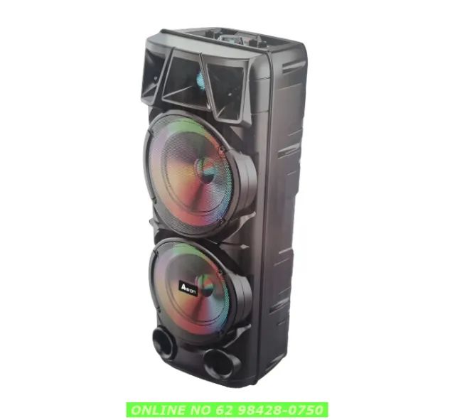 Caixa Som Grande 70cm Alta Qualidade + Microfone S/ Fio