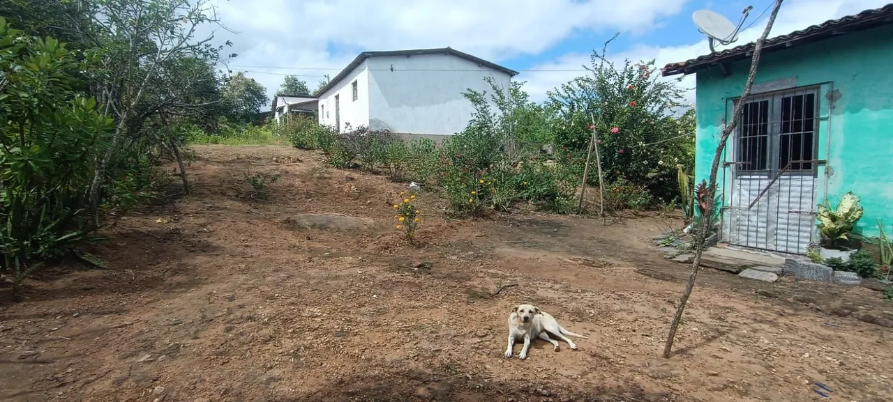 Urgente sítio em lagoa de dentro são José da mata PB leio o anúncio