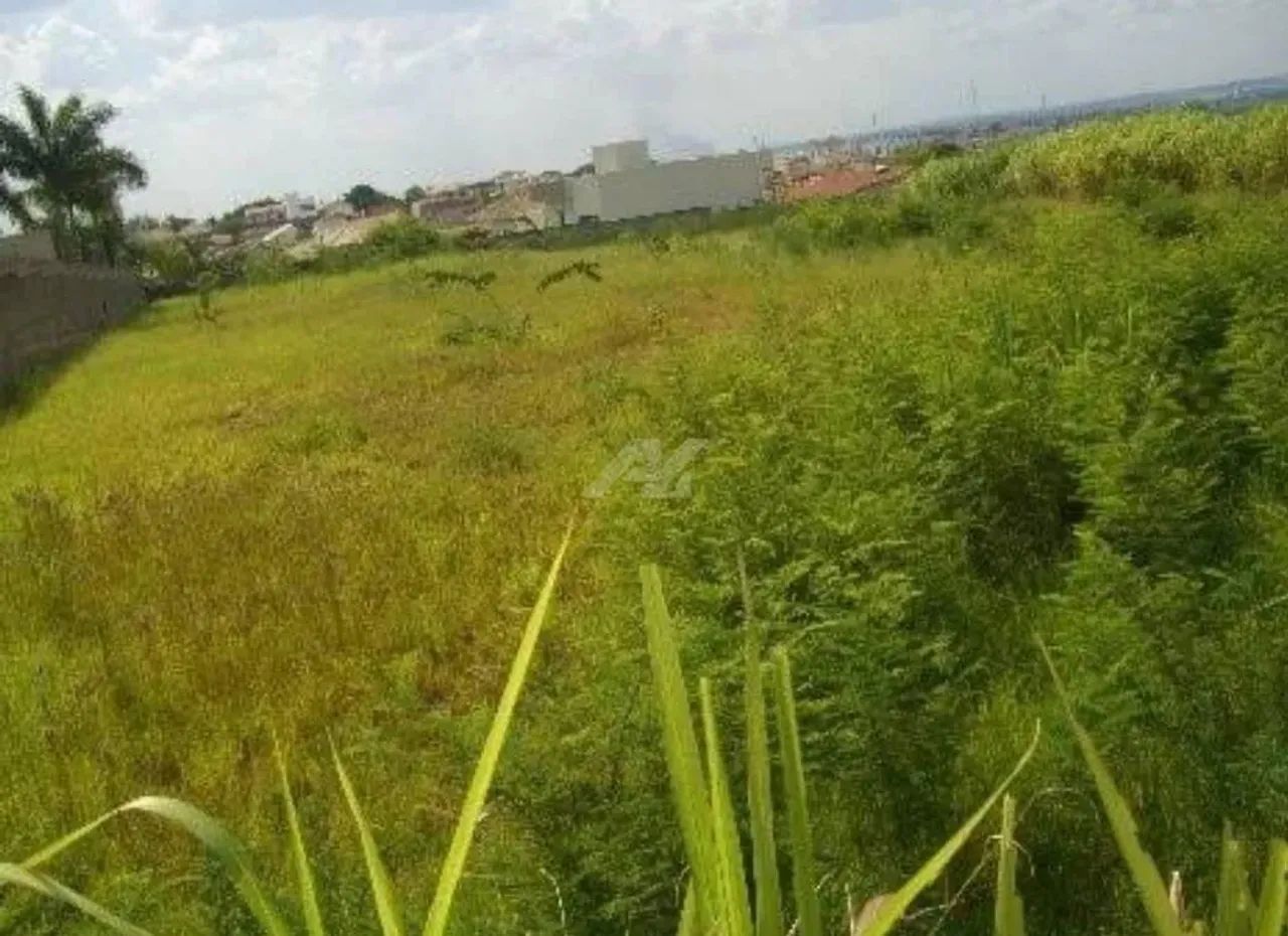 área - Parque Taquaral - Campinas - Foto 6