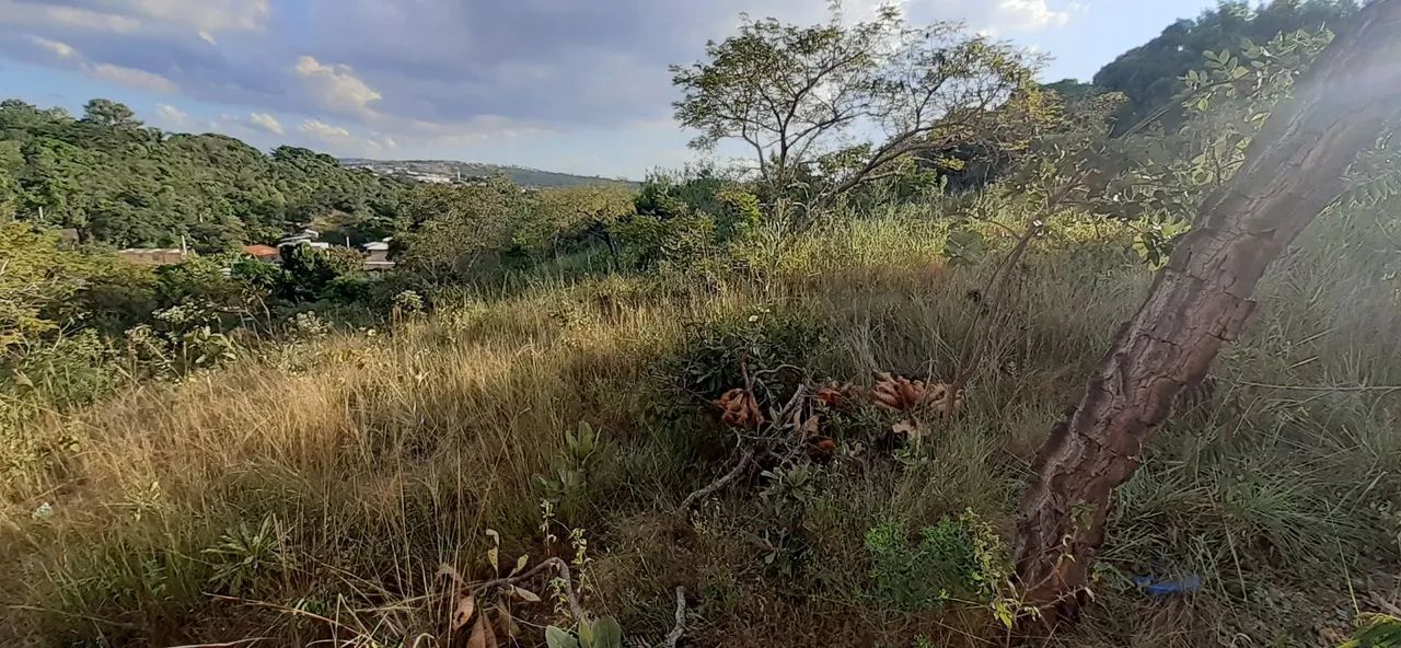 Lotes de 200 m2 - Foto 5