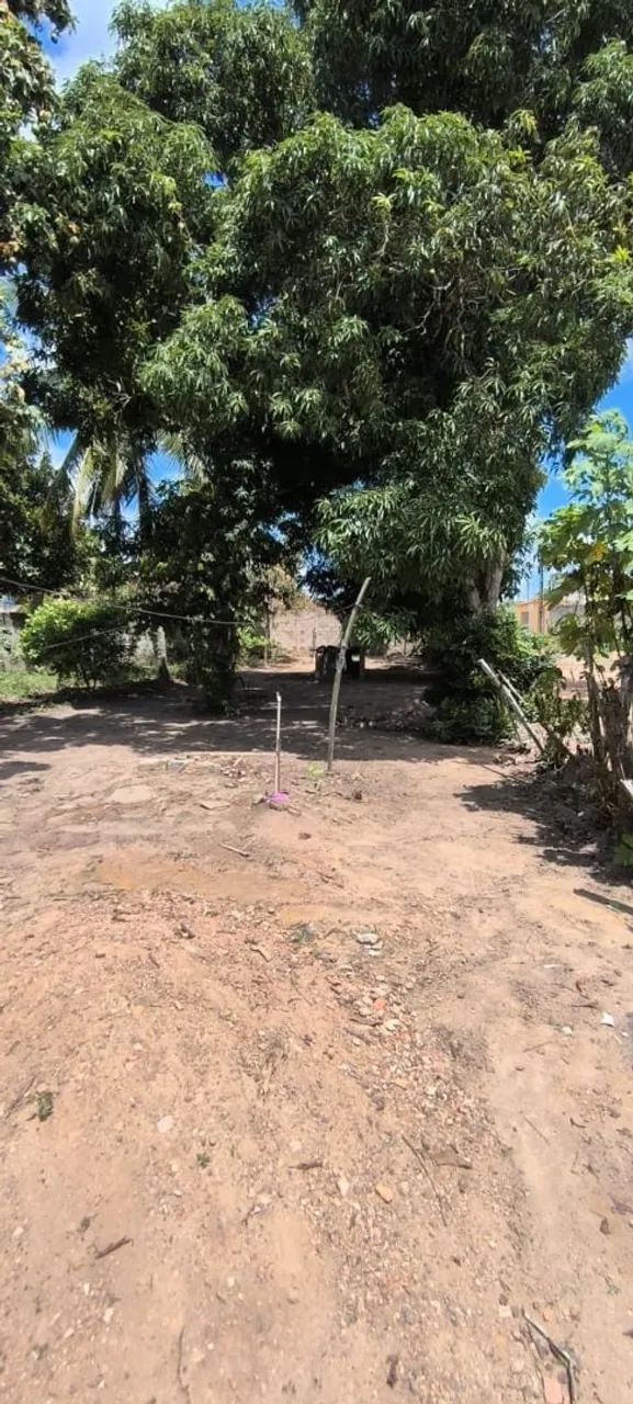Terreno no Povoado Belo Horizonte  - Foto 4