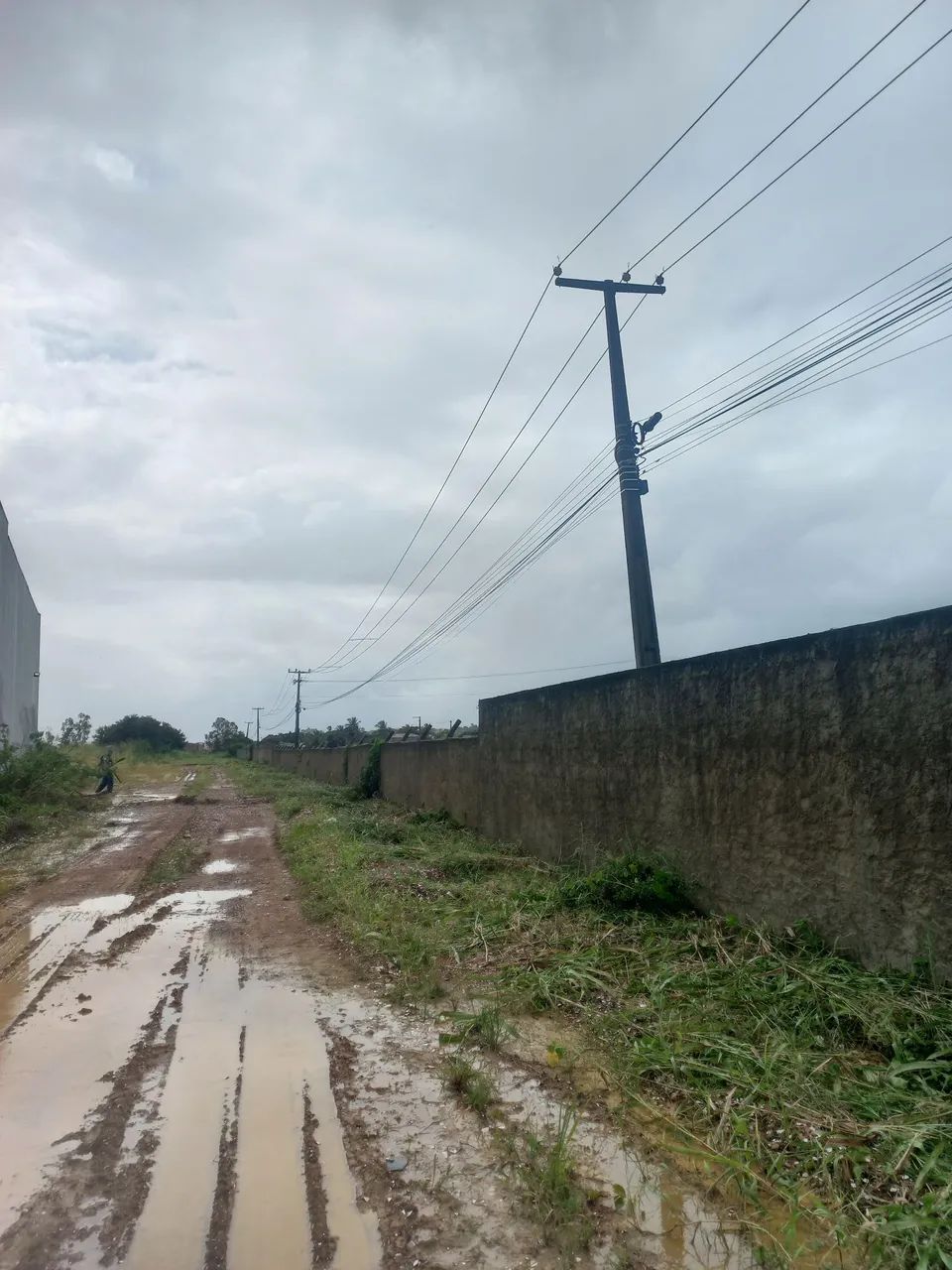 Jardinagem Serviço  - Foto 4