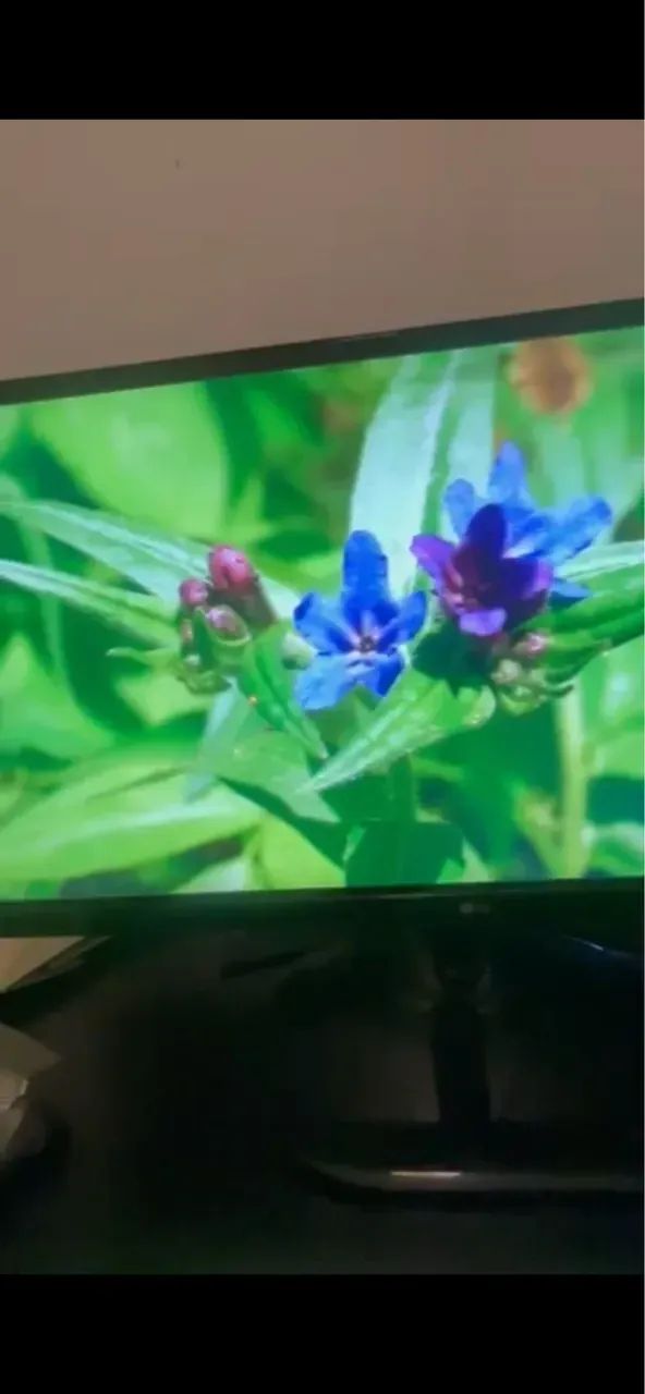 Monitor LG 25UM58 25" UltraWide? Full HD IPS - Foto 4