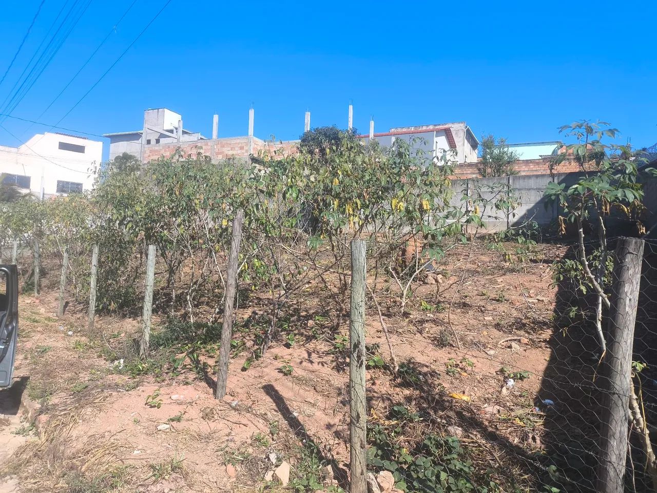 LOTE - Foto 4