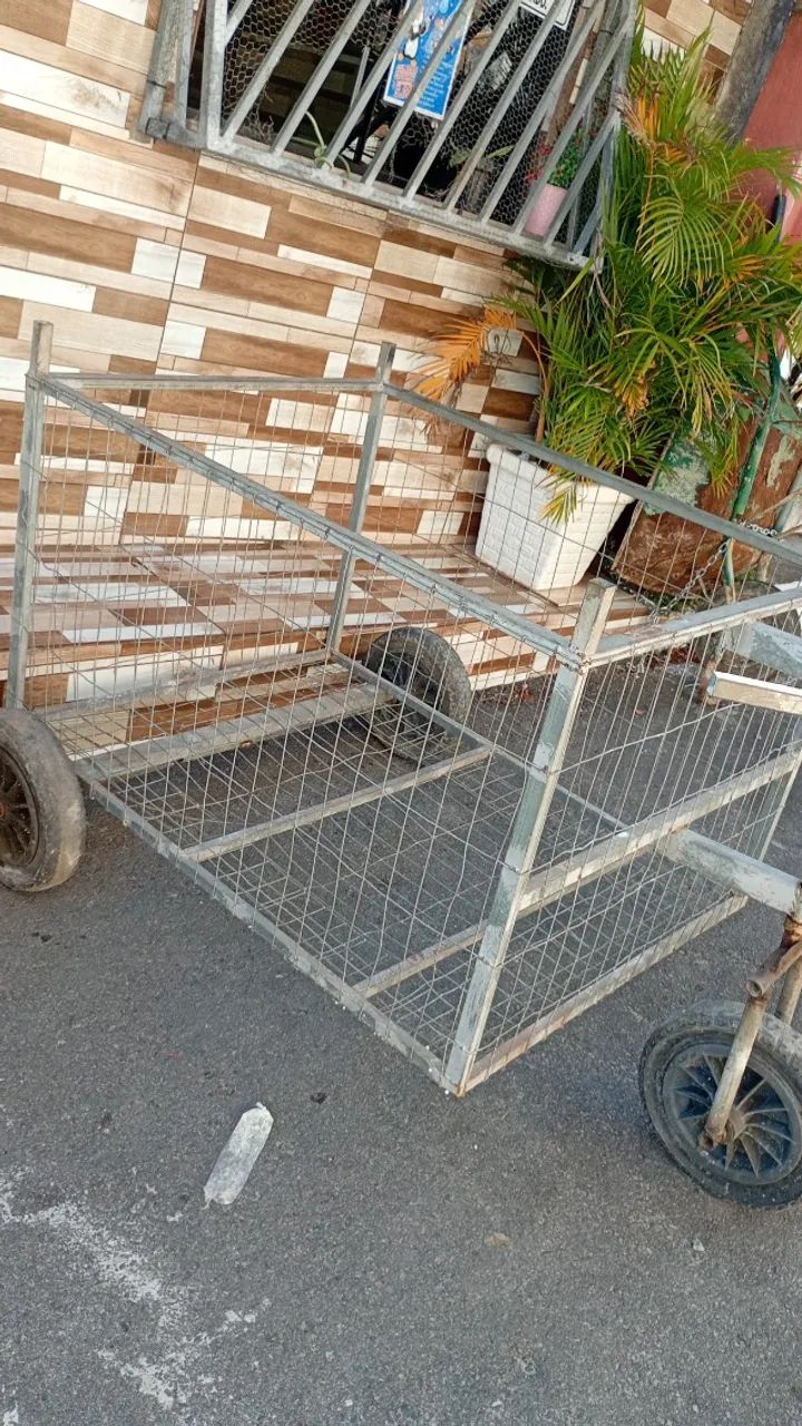 CARRINHO DE FERRO - Foto 2