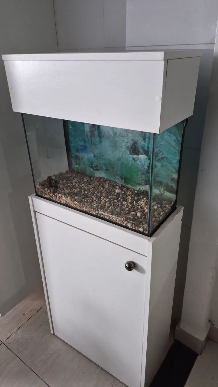 Aquário com móvel mdf 