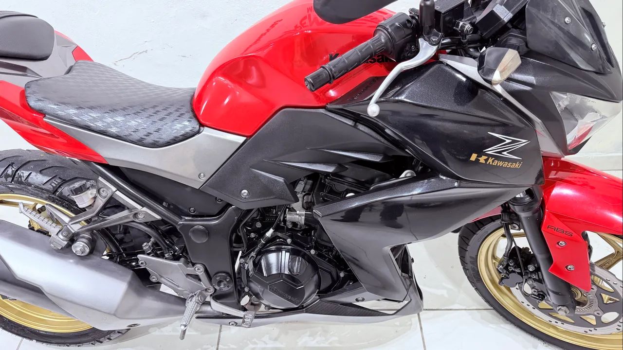 Z 300 2018 - 1530021327 | OLX