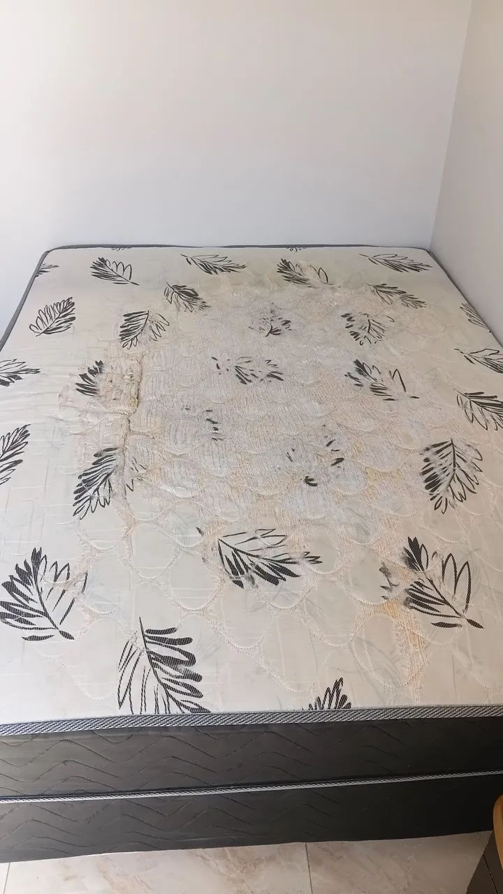 Cama