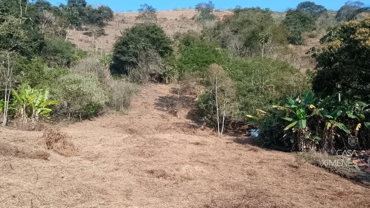 Terreno com 26.000 m² e vista indevassável em Petrópolis - Foto 5