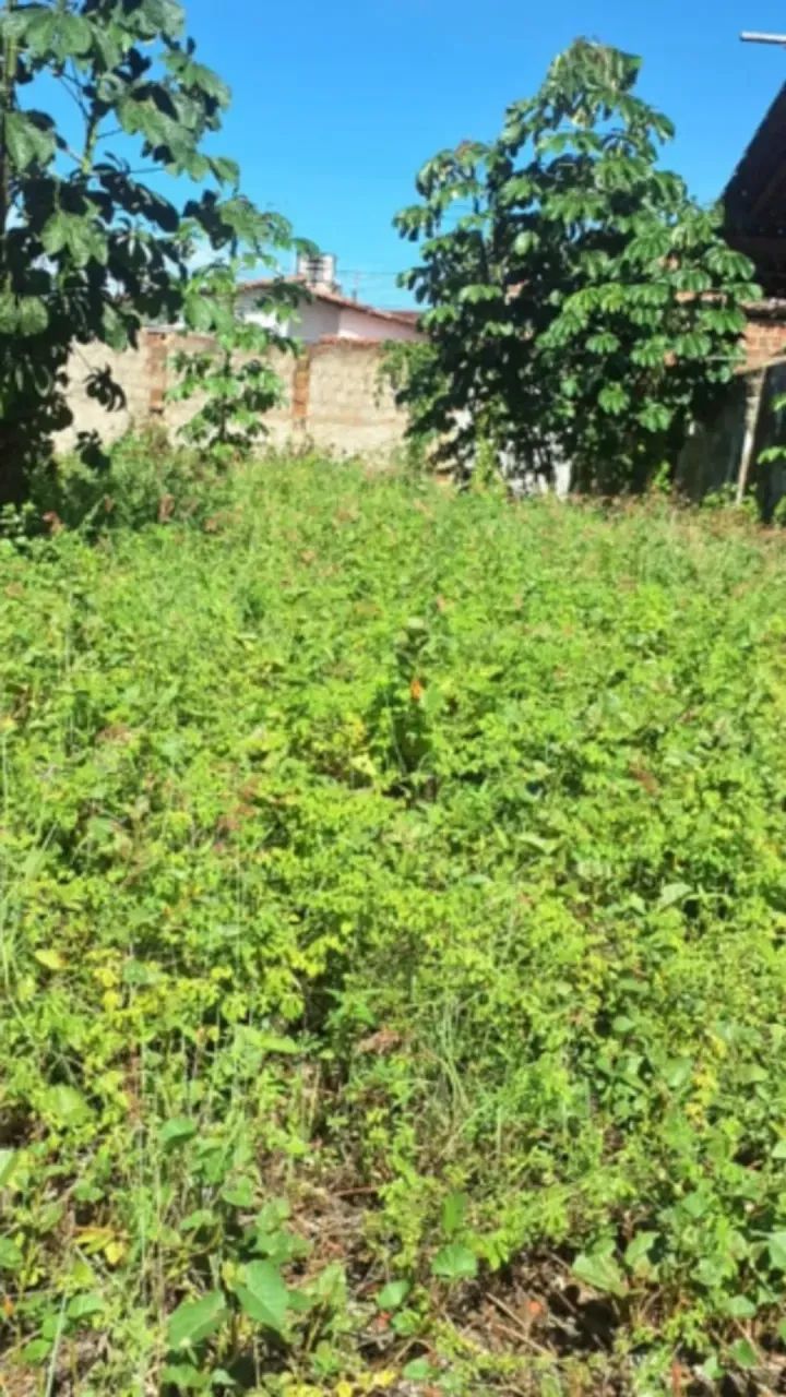 vendo terreno murado no pitimbu - Foto 3