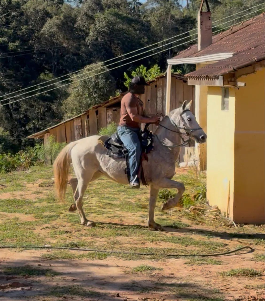 Égua de marcha batida top - Foto 3