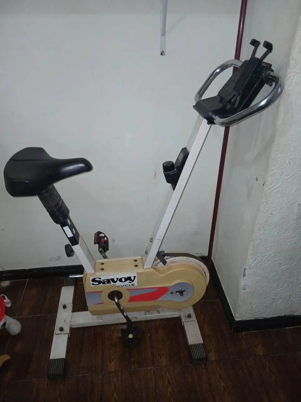 Bicicleta ergometrica
