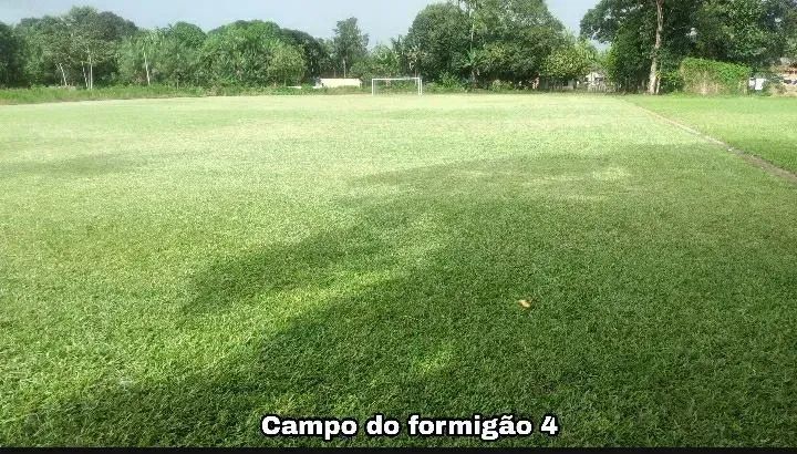 Área Estrada Curuçambá 33.000m² - Foto 4