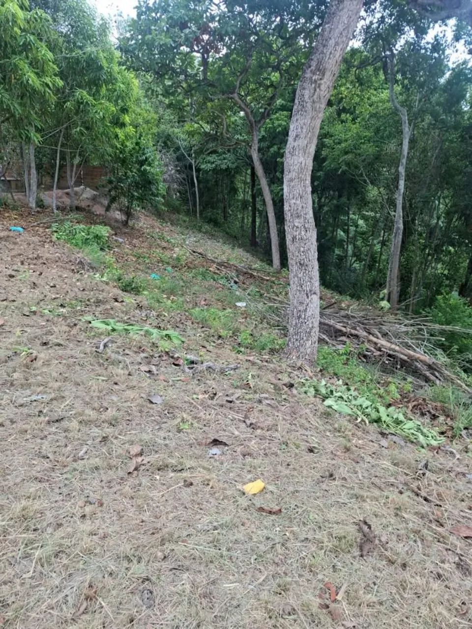 Terreno - Foto 2