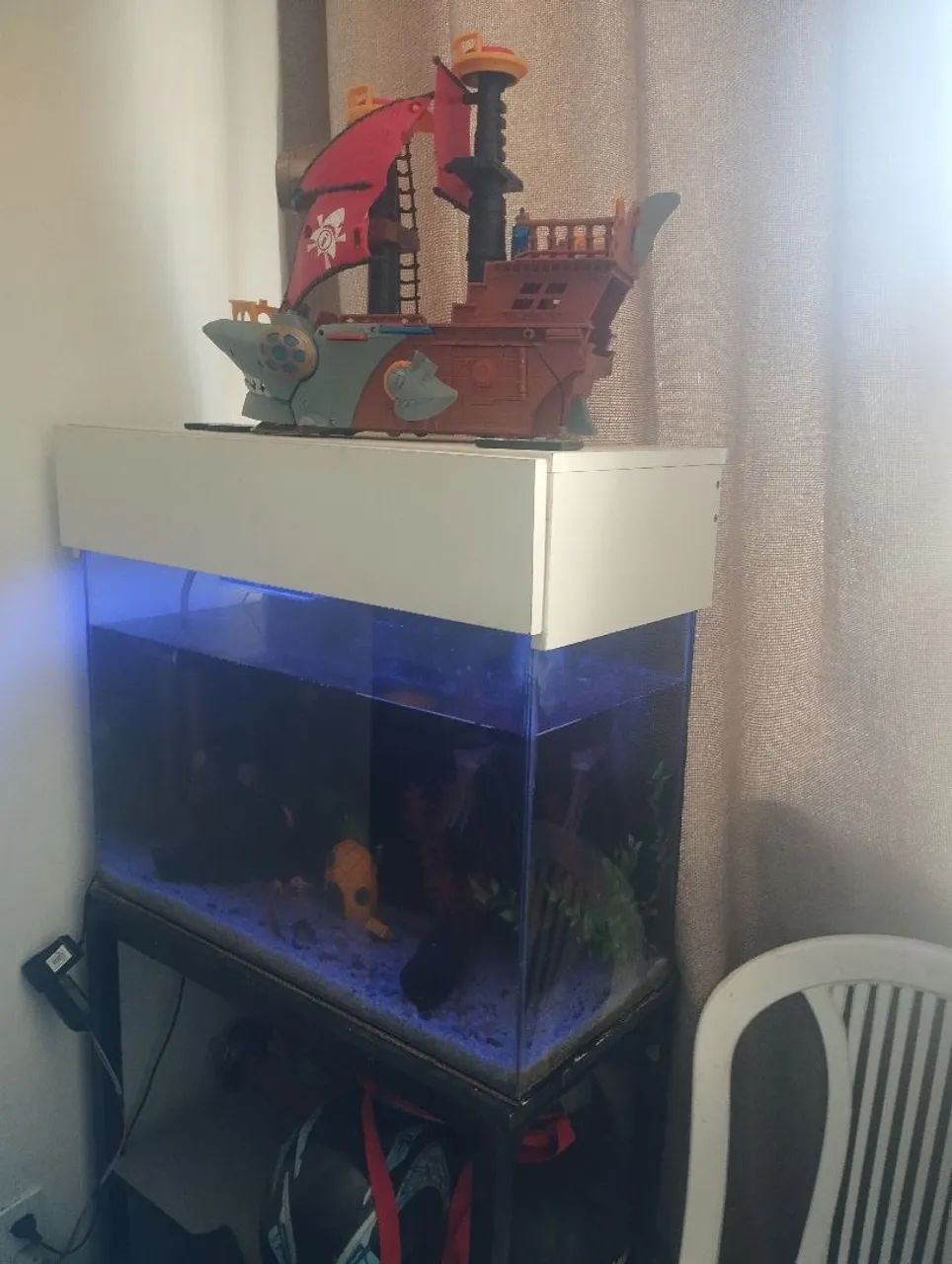 Aquário funcionando perfeitamente 