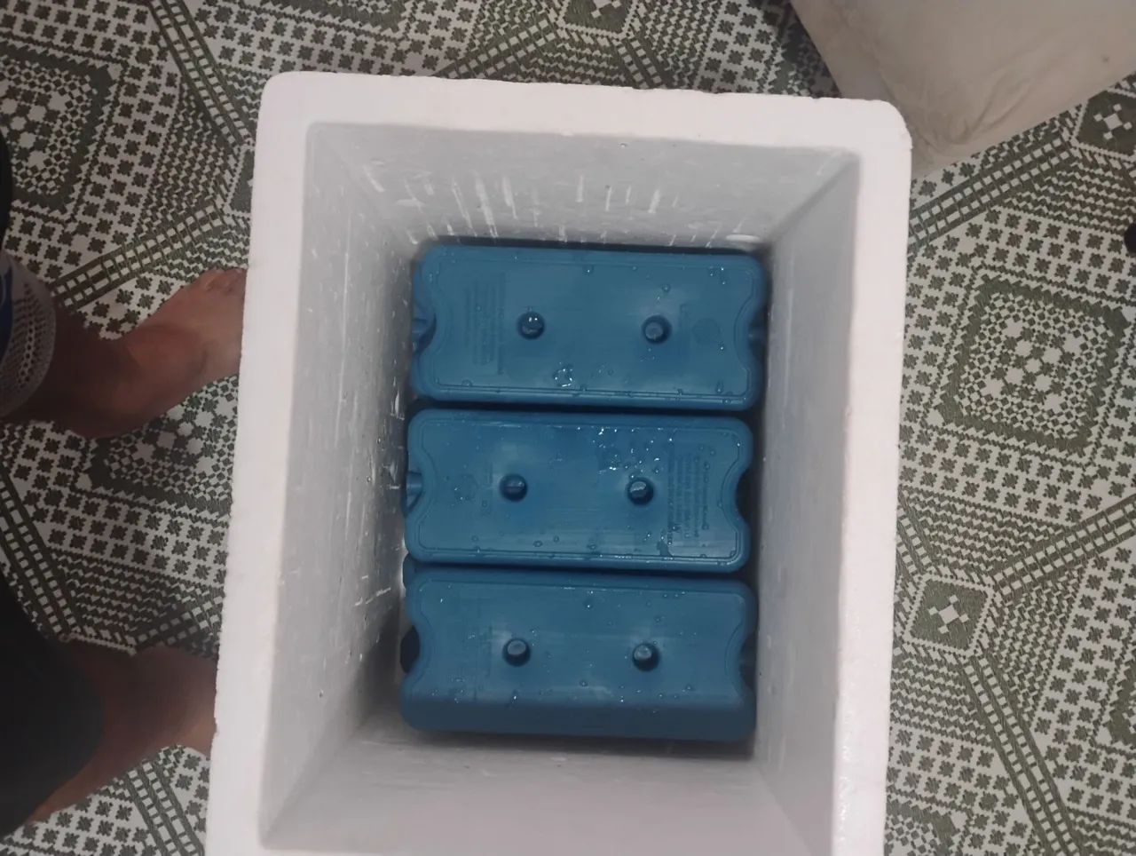  2 Caixas de isopor com gelo gel - Foto 3
