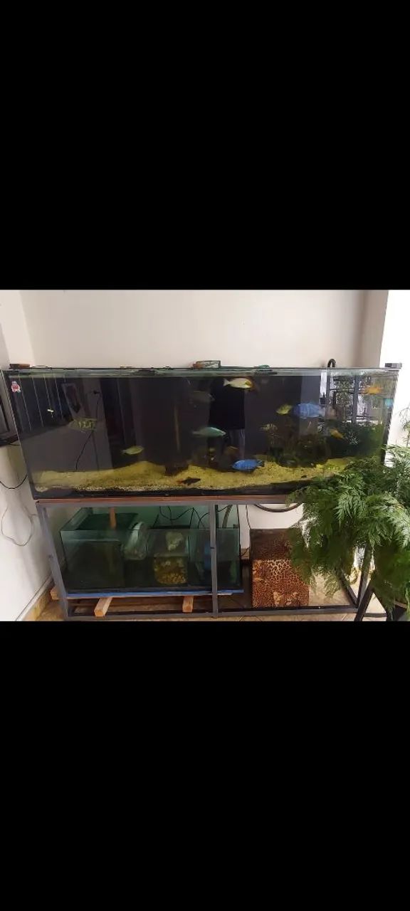 Aquário 550 litros com sump - Foto 2